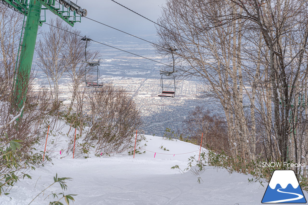 サッポロテイネ｜久しぶりの降雪で粉雪コンディション復活！ゲレンデ上部、2本の中斜面が絶好調(*^^)v